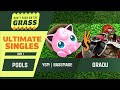 YSM | Bassmage (Jigglypuff) vs Graou (Ganondorf) - DPG 2024 - Ultimate Singles: Pools