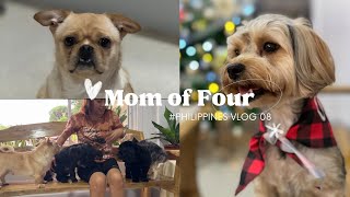 Vlog 08 Happy Dogs Finally Home | Philippines