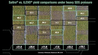 Saltro Yield Comparison