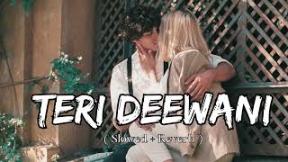 Teri Deewani [ Slowed and Reverb ] | Lofi song | @sleepysoundz- #kailashkher #lofi