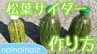 松葉サイダーの作り方　How to make pine needle cider