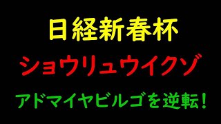 日経新春杯2021予想｜勝負レースはココ！ショウリュウイクゾがアドマイヤビルゴを逆転！