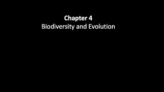 APES Chapter 4 Presentation