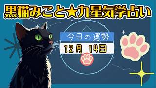 【黒猫みこと】今日の運勢をお届けにゃ！✨2024.12.14の九星気学占い｜三碧木星で週末の運気も絶好調！