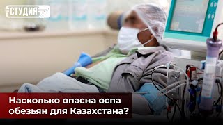 Оспа обезьян: так ли страшна новая пандемия?