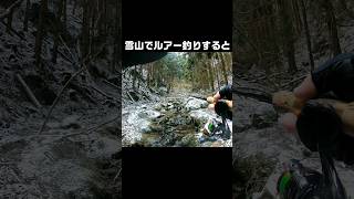 雪降る渓流でルアーを投げると #fishing #釣り #shorts