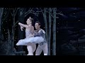 the washington ballet s charmingly dc the nutcracker snow pas