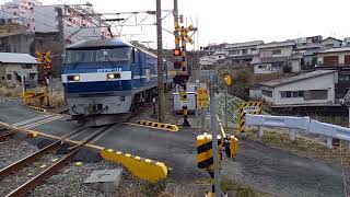 西濃カンガルーライナー　陸前山王～吹田