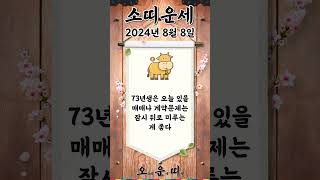 오늘의 소띠 운세 2024년 8월 8일 #소띠 #오늘의운세 #내일의운세 #운세 #운세쇼츠