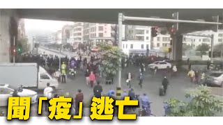 珠海 中山爆Omicron疫情！廣東中山坦洲人們翻山越嶺聞「疫」大逃亡！【#大陸疫情】 ｜ #大紀元新聞網