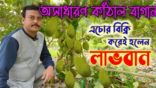 নদীয়ার বিপুল বাবুর ফল ভর্তি কাঁঠাল বাগান দেখে অবাক হবেন আপনিও