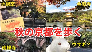 【京都観光】おすすめ モデルコース 永観堂 南禅寺 金閣寺 真如堂 明智光秀 紫式部　墓所 第一旭のラーメン 穴場