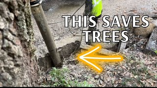 Save Trees with Hydrovac \u0026 Ground Penetrating Radar(Live Oak Tree Roots)