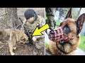 Dog Abandoned By Russian Troops Finds New Owners Within The Ukrainian Army