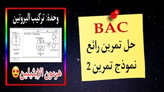 🎯مناقشة تمرين رائع جدا حول هرمون النضج وتوضيح فكرة ARNm مضاد للمعنى +التدرب على المنهجية😅تقرا وتتثقف