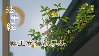 【靜思妙蓮華】 法華經 藥王菩薩本事品 - 荷擔佛法 願度眾生 - 第1833集 20241220