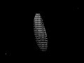 Python Spinning Donut: 12 hours