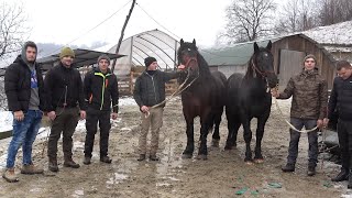 Caii fratilor Ilie de la Cosbuc, Bistrita Nasaud - 2025 Nou!!!