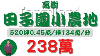 #高樹鄉-高樹田子國小便宜農地238【土地情報】#農地 238萬0.45萬/坪134萬/分【範圍特徴】地坪520.9台分1.8地分1#房地產#買賣#realty#sale #ランド #不動産 #売買