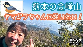 【可愛いヤマガラに会える山】熊本の金峰山へ行ってきました♪