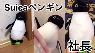 Suicaペンギン社長をレビュー！