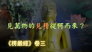 【楞嚴經】見萬物的見精從何而來？不是眼根不是虛空不是因緣，看佛怎麼說？｜楞嚴經｜宣化上人｜佛子