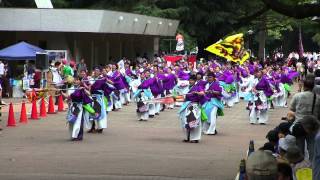 第9回よさこい祭りin光が丘公園(2015/7/19)「SummerZipper」