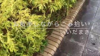 『530豊橋』お散歩しながらごみ拾い