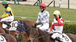 【武豊】2歳新馬 コンテソレーラ 後方から直線も全く伸びず大敗