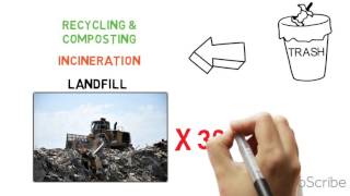 What do Environmental Engineers do? UMBC CBEE