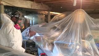 Massive Mold Growth Throughout the Basement