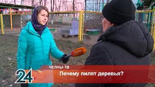 Почему пилят деревья?