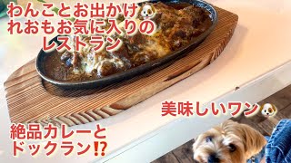 自然を満喫　絶品カレーと絶景