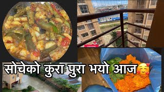 मैले सोचेको कुरा पुरा भयो भ्यान्नटा को तरकारी कत्ती मीठो हुने क्या😋😋