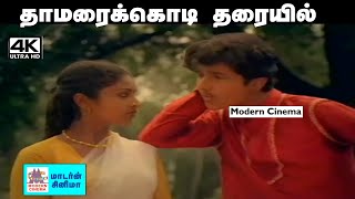 ThamaraiKodi Tharaiyil Song இளையராஜா இசையில் SPB பாடிய பாடல் தாமரைக்கொடி தரையில்