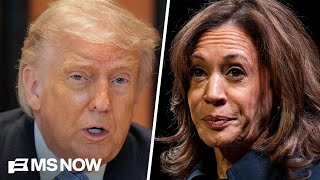 As Dems prep for midterms and 2028, they consider what led to their 2024 loss
