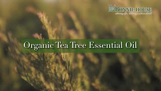 Bonnie House｜Organic Tea Tree Essential Oil