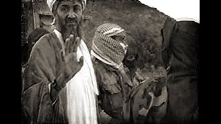 The Military Role Of Al Qa'ida (Al Qa'ida In Afghanistan)