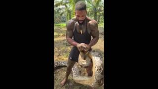 "Python vs Man – Giant Snake Caught on Camera!"