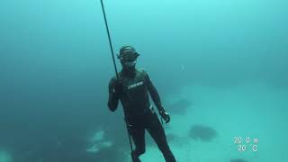 One Breath Freediving - Advanced Freediver / Freefall Training ***PARALENZ***