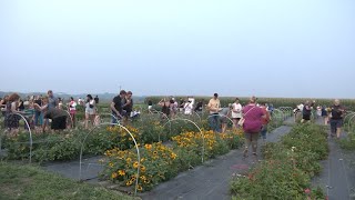 AgweekTV: Flower Farm Hosts First \