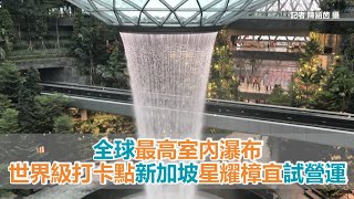 直擊／全球最高室內瀑布　世界級打卡點新加坡「星耀樟宜」試營運