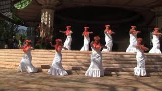 2015 Lei Day-Hālau Hula ‘O Hokulani-\