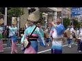 阿波踊り「維新連・泰斗連・越谷叡明連」awa odori dance 2024堀切かつしか菖蒲まつり（2024.6.9）