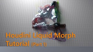 How to do Flip Morph in Houdini  -- Part 1 (+ projects)