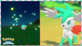 [Live] Shiny Shaymin after 2829 runaways! [Pokemon Brilliant Diamond]