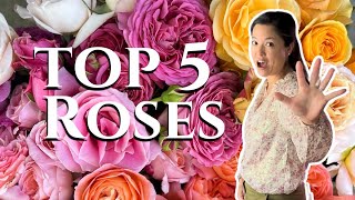 Top 5 Stunning Roses You’ll Fall in Love With | Turbow Farms