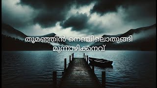 തൂമഞ്ഞിൻ നെഞ്ചിലൊതുങ്ങി full song lyrics #kjyesudas #kaithapram #johnson #samooham #sureshgopi