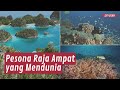 Pemandangan Bawah Laut Raja Ampat, Surga Dunia di Papua