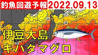 【2022年9月13日】釣魚回遊予報（伊豆大島キハダマグロ）